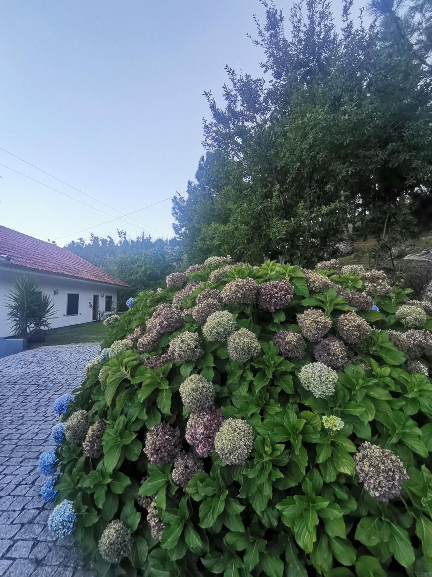 Quinta Souto Da Ordem - House Βίλα Castelo Novo Εξωτερικό φωτογραφία